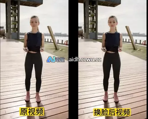 AI换脸替换工具离线版｜一张图实现图片/视频换脸