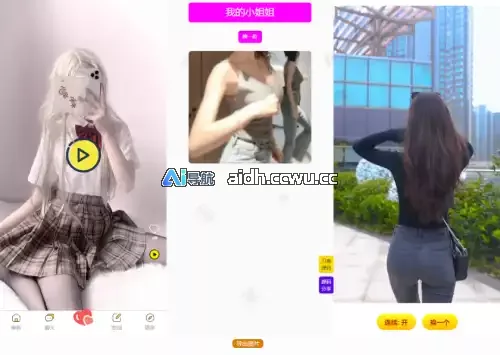 5套随机小姐姐视频引流网站源码